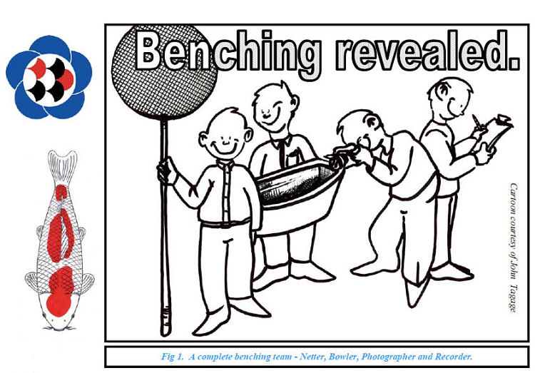Benching guide cartoon